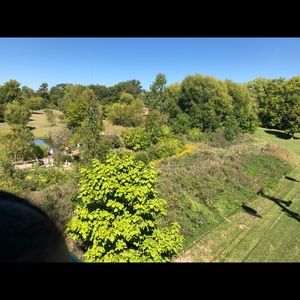 Meet your Posher, Mya